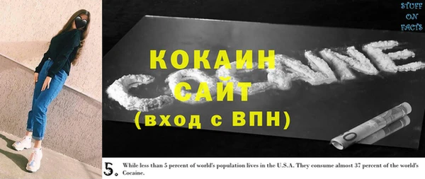 крисы Богородицк