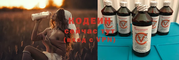 крисы Богородицк