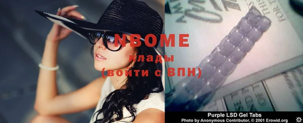 крисы Богородицк