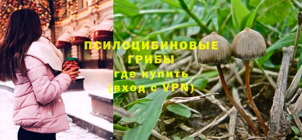 трава Богданович