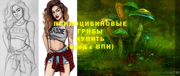 крисы Богородицк