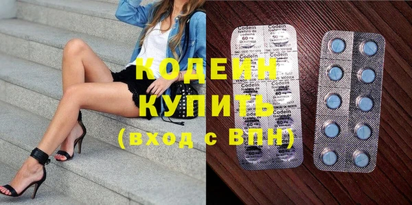 крисы Богородицк