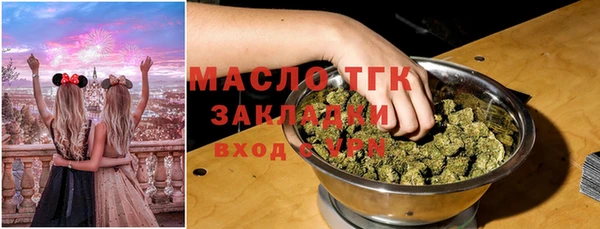 крисы Богородицк