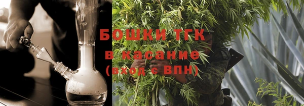 крисы Богородицк