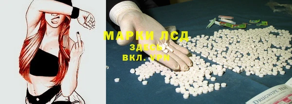 крисы Богородицк