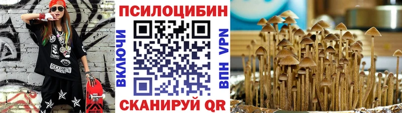 гидра маркетплейс  Новомосковск  Псилоцибиновые грибы Psilocybe  купить наркотики цена 